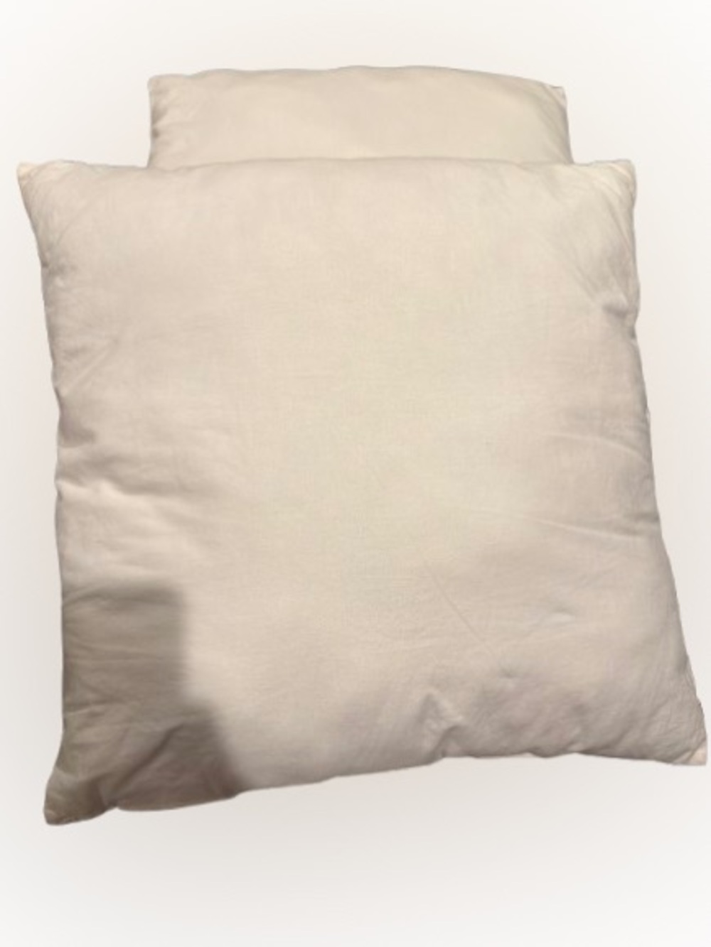 Pottery Barn 18x18 pillow inserts - 2
